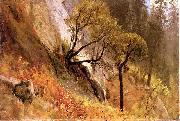 Albert Bierstadt, Landscape Study, Yosemite California
